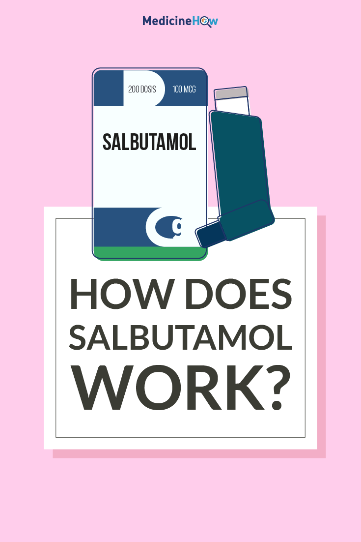 How Does Salbutamol Work?