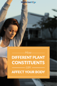 How Different Plant Constituents Can Affect Your Body