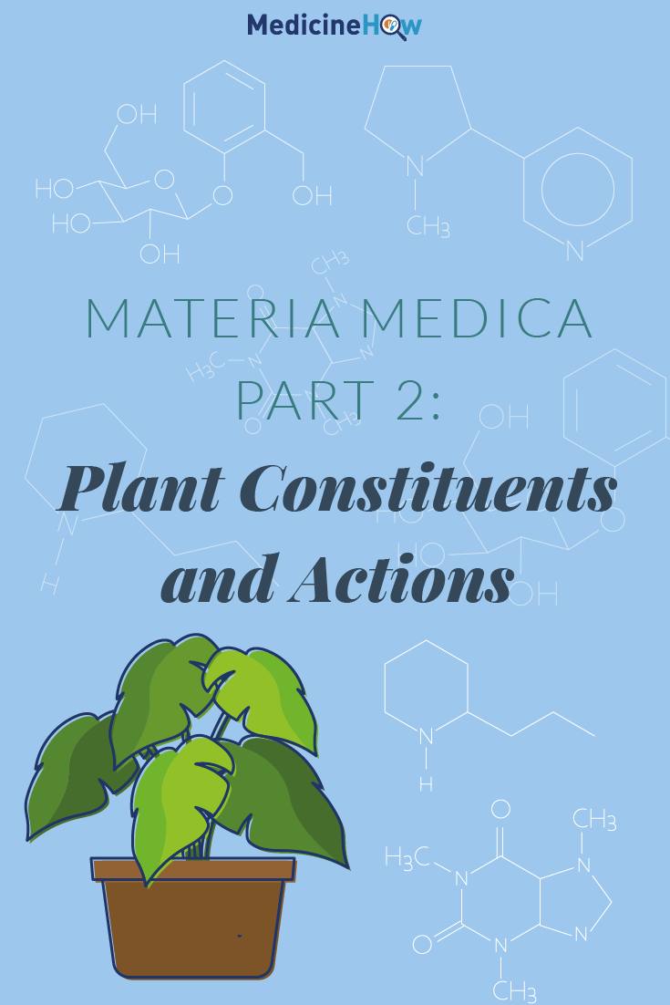 Materia Medica Part 2: Plant Constituents and Actions