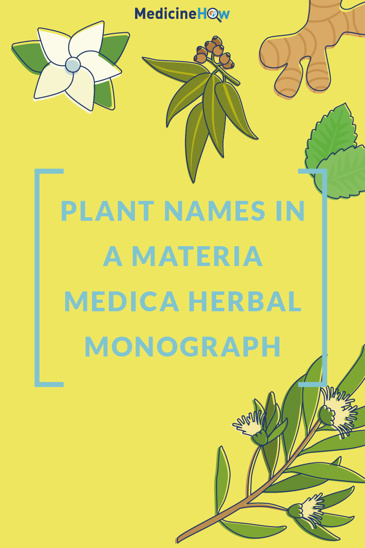 Plant Names in a Materia Medica Herbal Monograph