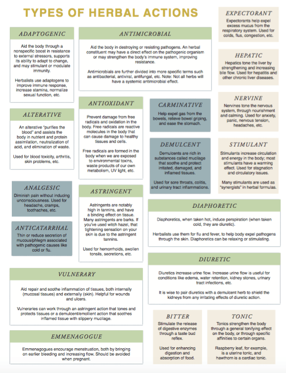 Plant Constituents - Types of Herbal Action