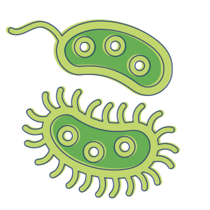 Bacteria Antibiotics Icon