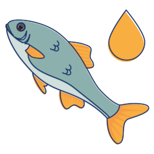 Omega3 Fish Oil Icon