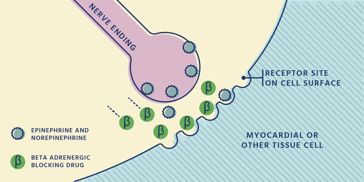 Beta-blocker Graphic