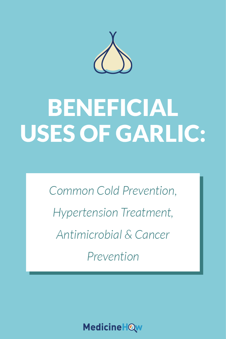 Beneficial Uses of Garlic: Common Cold Prevention, Hypertension Treatment, Antimicrobial & Cancer Prevention