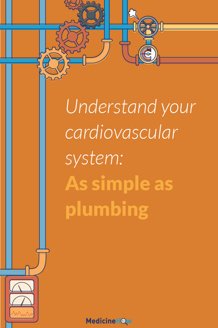 Understand Your Cardiovascular System: As Simple as Plumbing