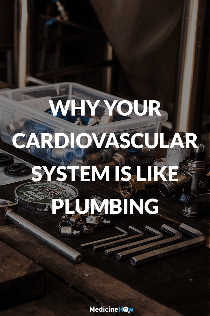 Why your Cardiovascular System is like Plumbing