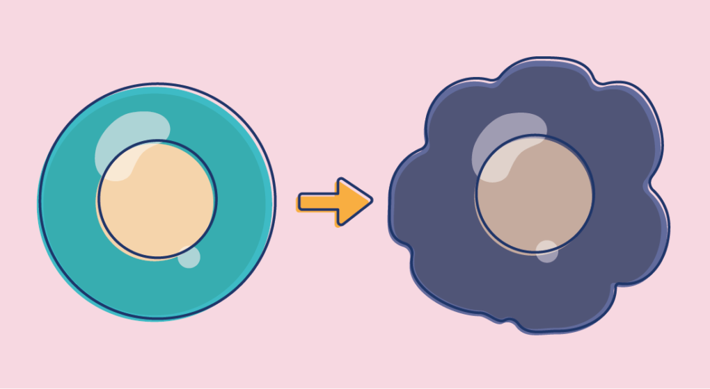 How Normal Cells Become Cancer Cells