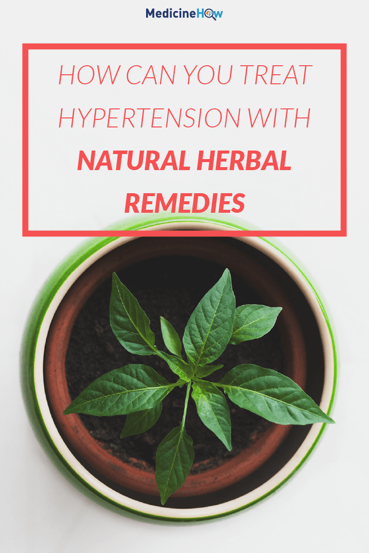 How Can you Treat Hypertension with Natural Herbal Remedies