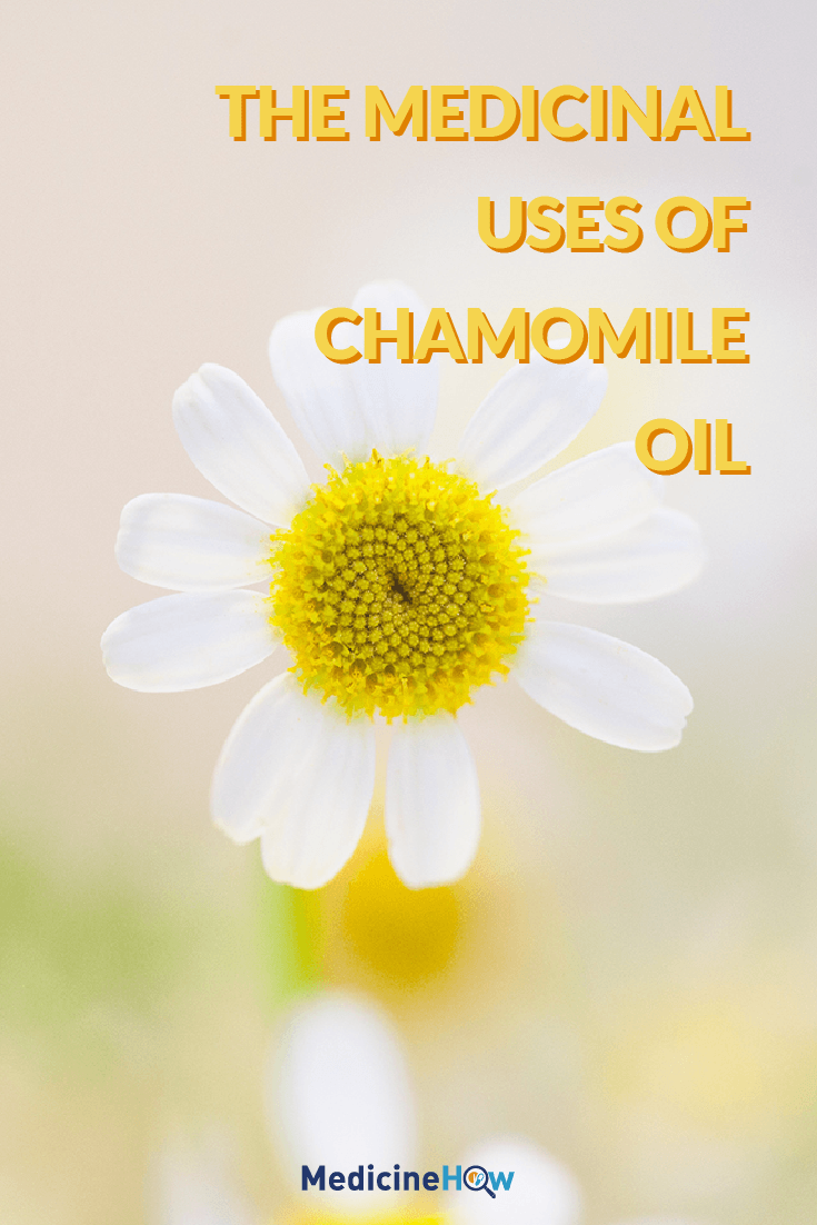 The medicinal uses of Chamomile Oil