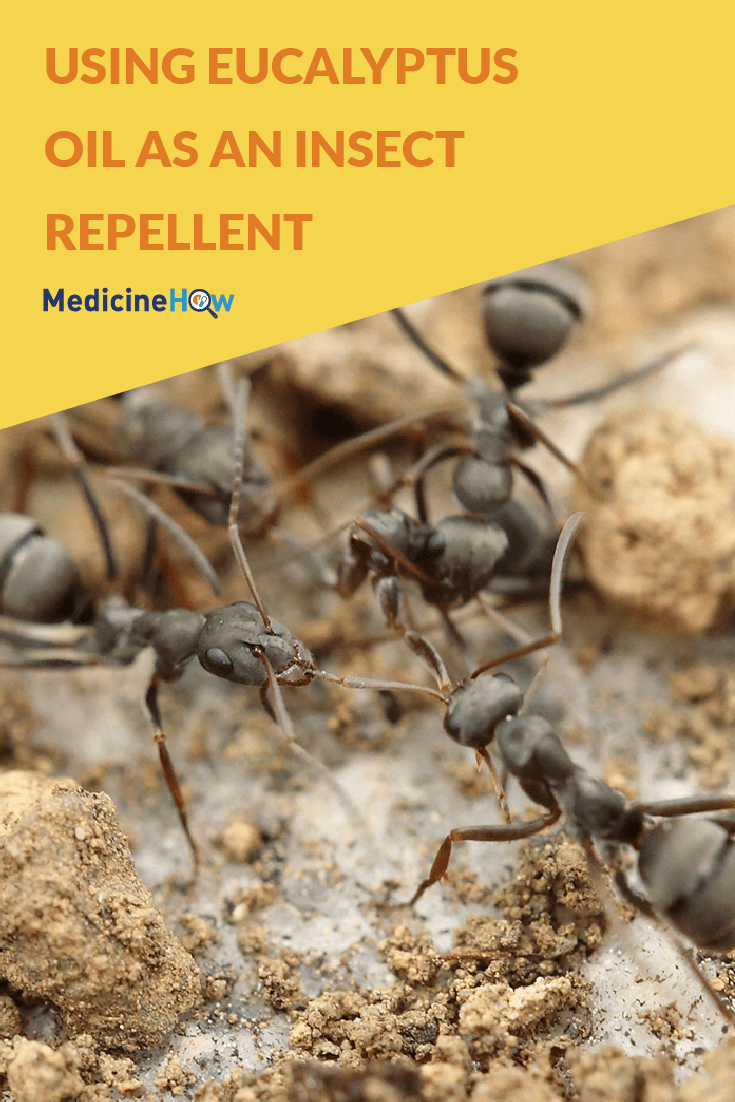 Using Eucalyptus Oil as an insect repellent