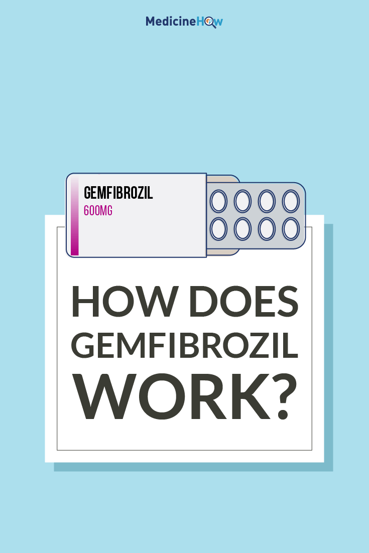 How does Gemfibrozil work?