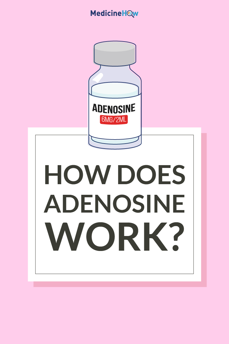 How Does Adenosine Work?