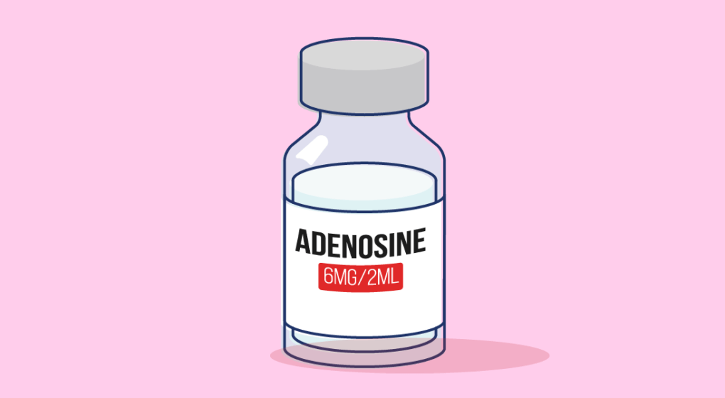 How Does Adenosine Work