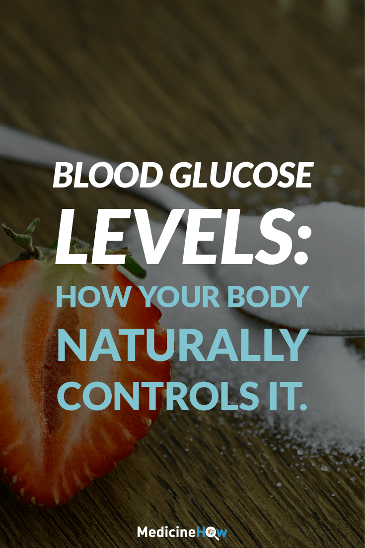 Blood Glucose Levels: How Your Body Naturally Controls It