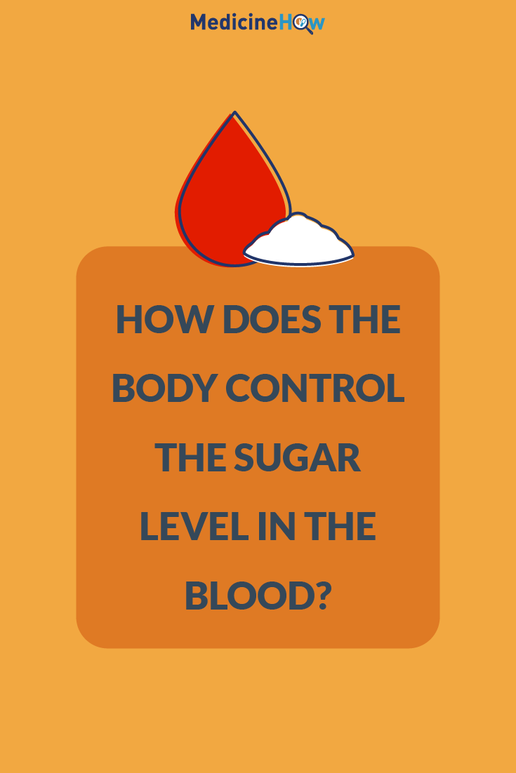 How does the body control the sugar level in the blood?