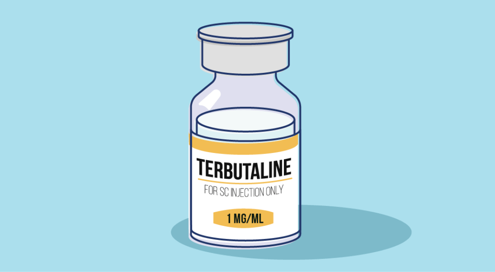 How does Terbutaline Work