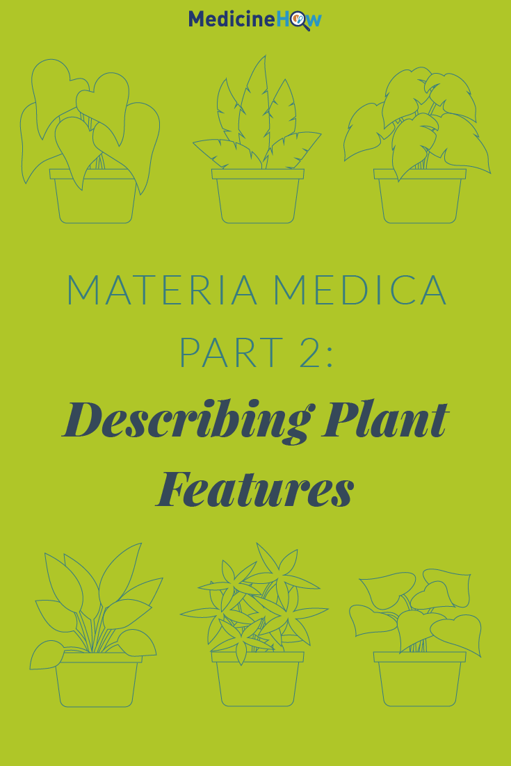 Materia Medica Part 2: Describing Plant Features