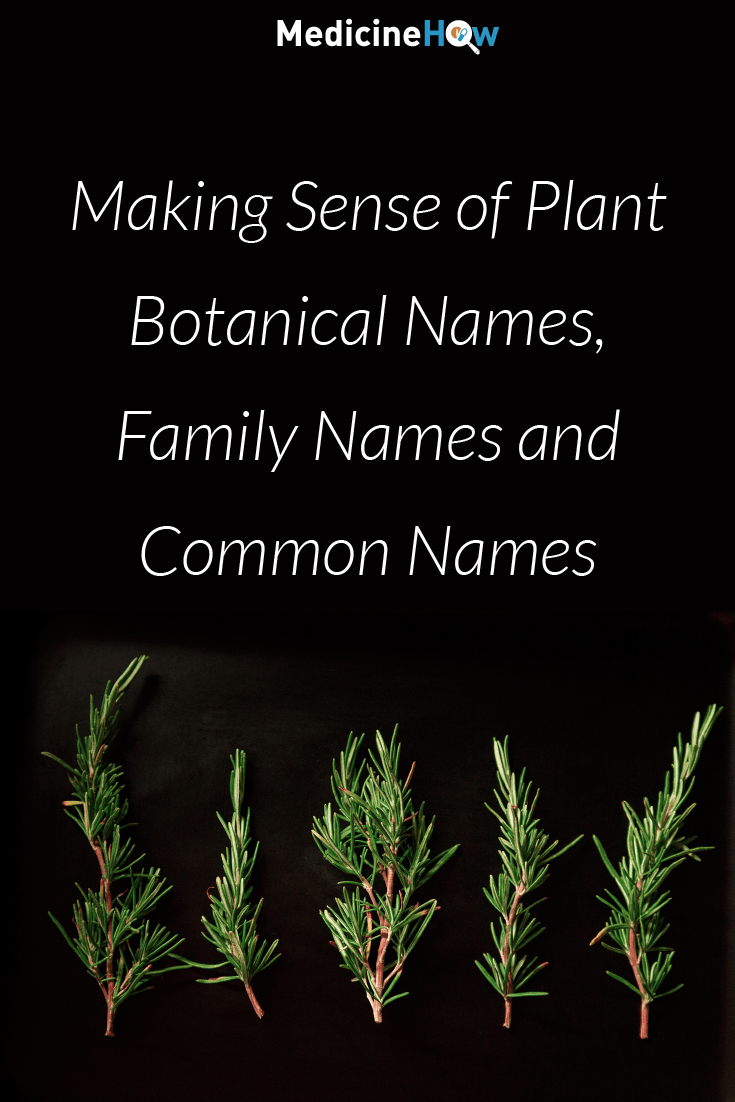 Making Sense of Plant Botanical Names, Family Names and Common Names