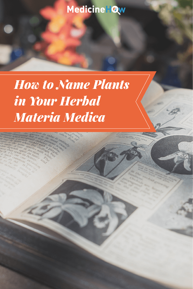 How to Name Plants in Your Herbal Materia Medica
