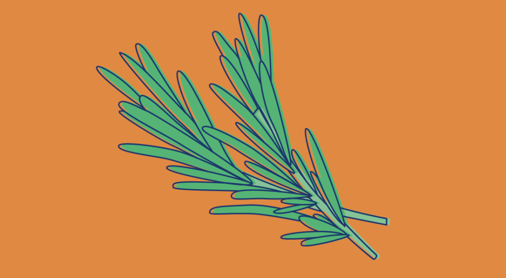 Rosemary Cover
